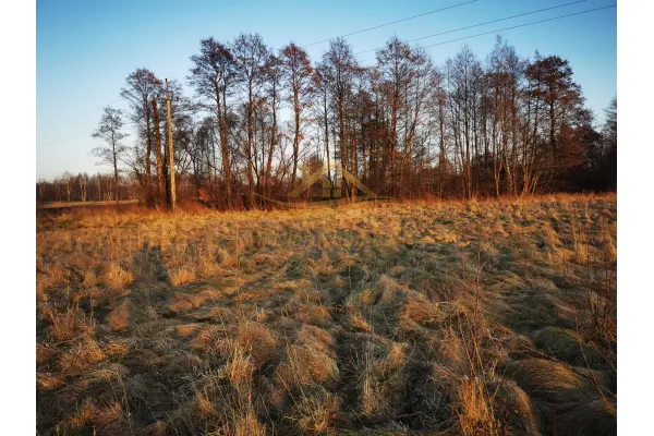 grodziski, Jaktorów, Chylice, Sprzedaż ziemi Chylice