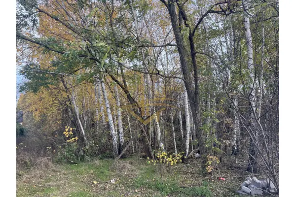 mazowieckie, grodziski, Grodzisk Mazowiecki, Książenice, Na biznes , inwestycje znakomity dojazd