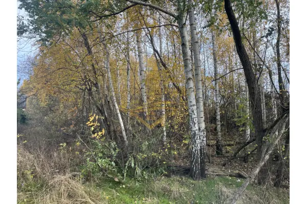 grodziski, Grodzisk Mazowiecki, Książenice, Na biznes , inwestycje znakomity dojazd