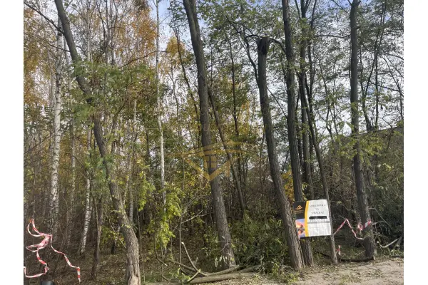 grodziski, Grodzisk Mazowiecki, Książenice, Na biznes , inwestycje znakomity dojazd