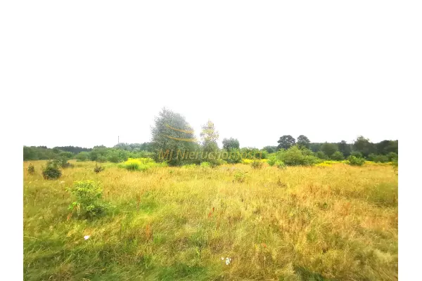 grodziski, Jaktorów, Stare Budy, 29 900 m2 Stare Budy Siedlisko - inwestycja