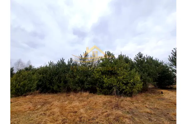 grodziski, Żabia Wola, Działka mieszkaniowo - usługowa Żabia Wola