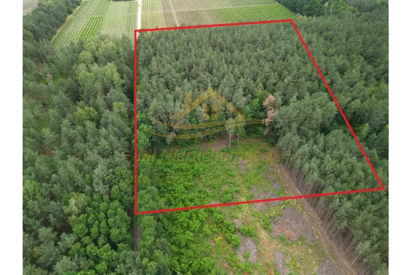 mazowieckie, grodziski, Żabia Wola, św. Anny, Działka rolno leśna winnica Dwórzno !