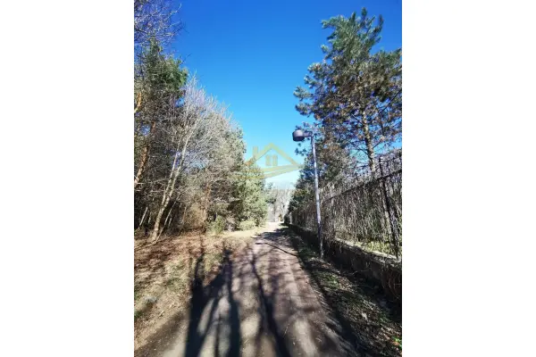 grodziski, Żabia Wola, św. Anny, Działka rolno leśna winnica Dwórzno !