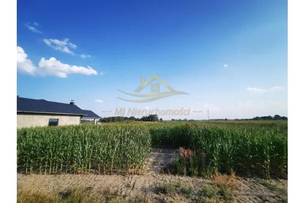 grodziski, Baranów, Karolina, Działka Rolna 3 681m2 Karolina
