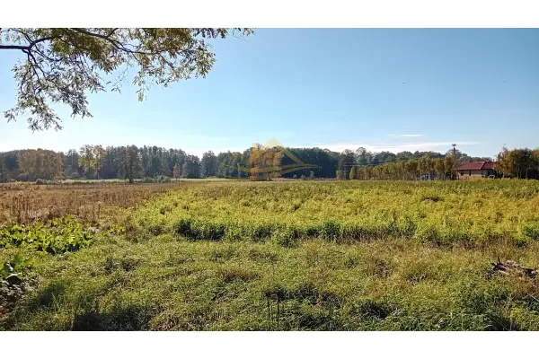 grodziski, Żabia Wola, 3 działki budowlane na sprzedaż w Żelechowie !