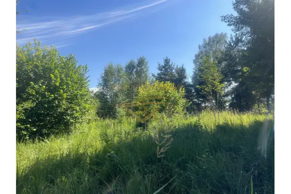 żyrardowski, Radziejowice, USŁUGOWA , BLISKO S8