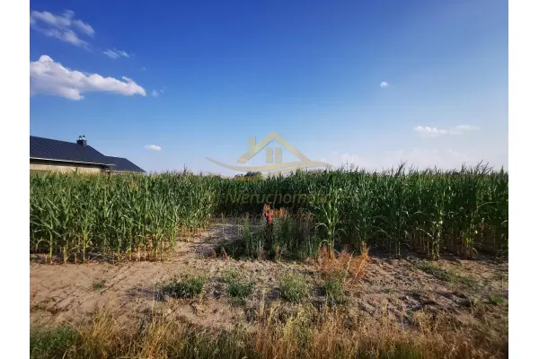 grodziski, Baranów, Karolina, DZIAŁKA PRZY ASFALCIE 3681m2