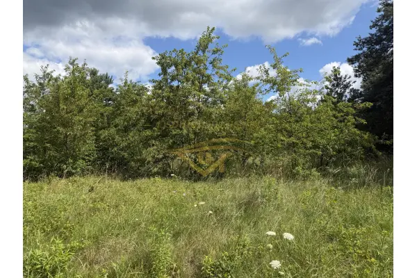 grodziski, Żabia Wola, Musuły, 'Zielone Musuły ',osiedle zamknięte