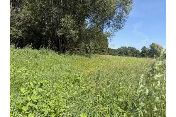 grodziski, Jaktorów, Budy Zosine, Na inwestycje