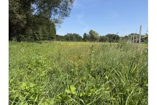 grodziski, Jaktorów, Budy Zosine, Na inwestycje
