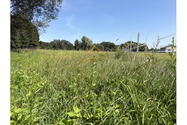 grodziski, Jaktorów, Budy Zosine, Na inwestycje