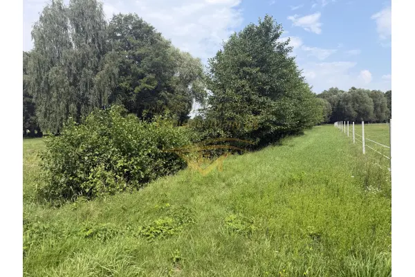 grodziski, Jaktorów, Budy Zosine, Na inwestycje