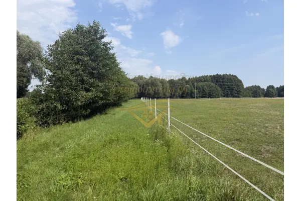 grodziski, Jaktorów, Budy Zosine, Na inwestycje