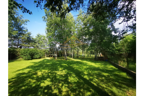 grodziski, Żabia Wola, Musuły, Sprzedaż domu na działce 3500m2