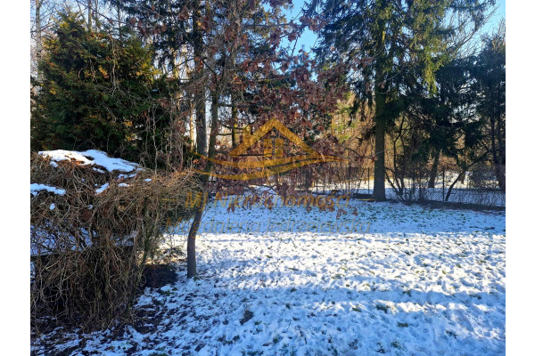 grodziski, Jaktorów, Budy-Grzybek, Potockiego, Budy-Grzybek - dom 60m2 wraz z działką 1549 m2