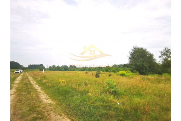 grodziski, Jaktorów, Stare Budy, 29 900 m2 Stare Budy Siedlisko - inwestycja