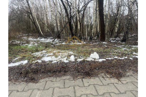 grodziski, Grodzisk Mazowiecki, Książenice, Na biznes , inwestycje znakomity dojazd