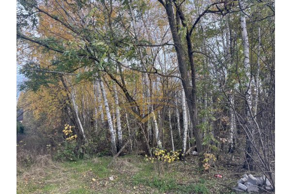 mazowieckie, grodziski, Grodzisk Mazowiecki, Książenice, Na biznes , inwestycje znakomity dojazd