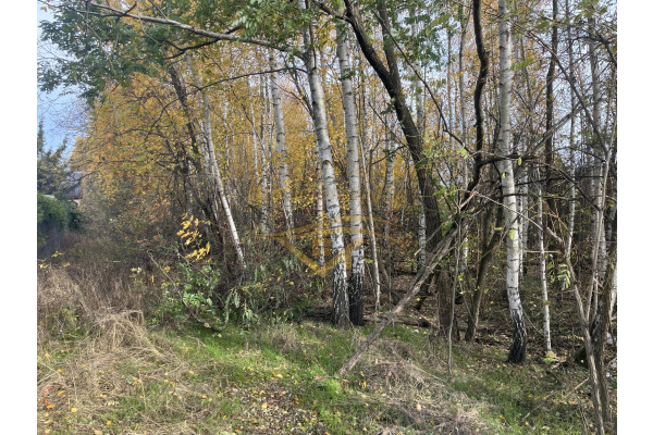 grodziski, Grodzisk Mazowiecki, Książenice, Na biznes , inwestycje znakomity dojazd