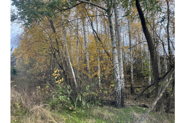 grodziski, Grodzisk Mazowiecki, Książenice, Na biznes , inwestycje znakomity dojazd
