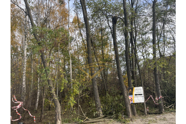 grodziski, Grodzisk Mazowiecki, Książenice, Na biznes , inwestycje znakomity dojazd