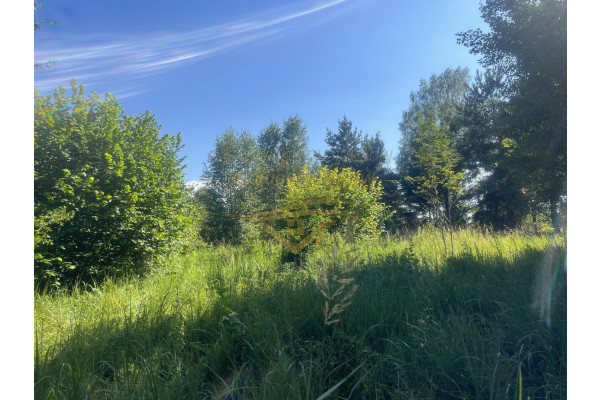 żyrardowski, Radziejowice, USŁUGOWA , BLISKO S8
