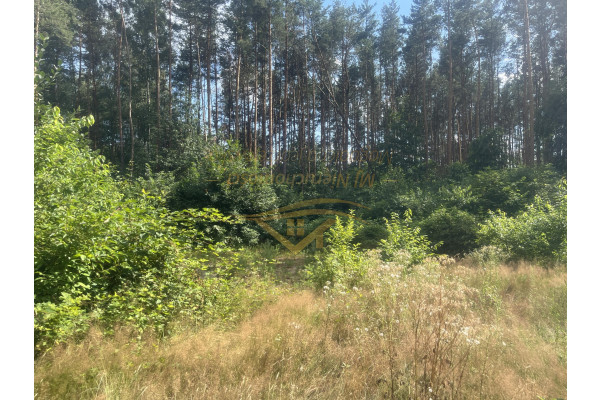 grodziski, Grodzisk Mazowiecki, Działka z lasem , prąd , zaciszne miejsce