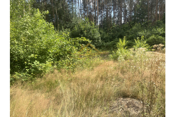 grodziski, Grodzisk Mazowiecki, Działka z lasem , prąd , zaciszne miejsce
