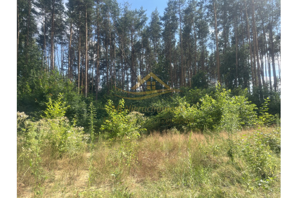 grodziski, Grodzisk Mazowiecki, Działka z lasem , prąd , zaciszne miejsce