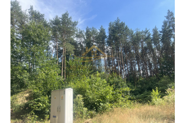 grodziski, Grodzisk Mazowiecki, Działka z lasem , prąd , zaciszne miejsce