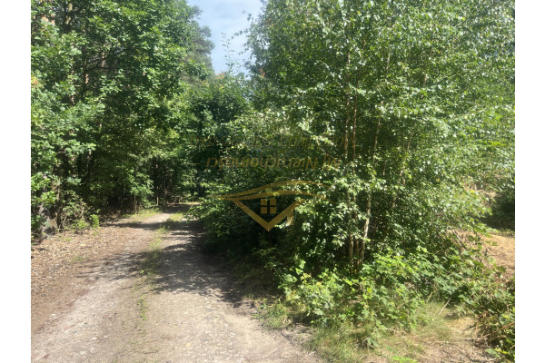 grodziski, Grodzisk Mazowiecki, Działka z lasem , prąd , zaciszne miejsce