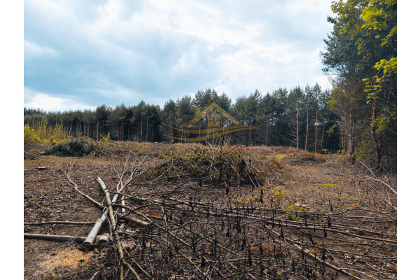 grodziski, Żabia Wola, św. Anny, ostatnie 2 działki rolne na sprzedaż !