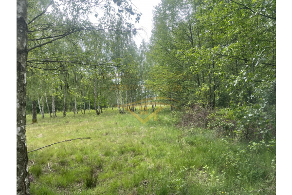 grodziski, Jaktorów, Siedliskowa ,skrzynka z prądem , zaciszne miejsce