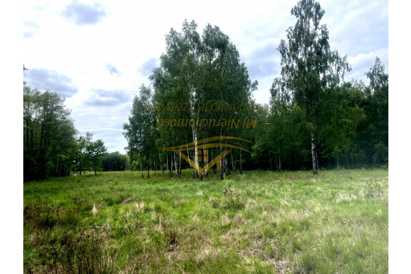 grodziski, Jaktorów, Siedliskowa ,skrzynka z prądem , zaciszne miejsce