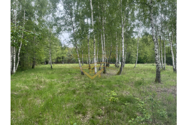 grodziski, Jaktorów, Siedliskowa ,skrzynka z prądem , zaciszne miejsce