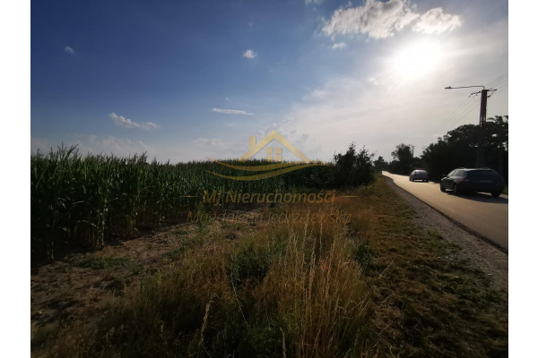 grodziski, Baranów, Karolina, DZIAŁKA PRZY ASFALCIE 3681m2