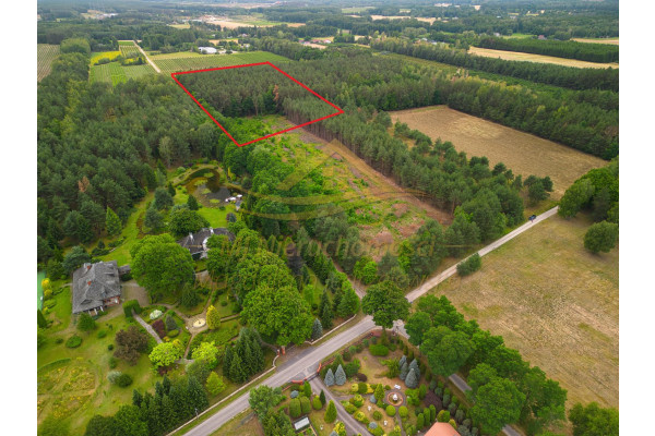 grodziski, Żabia Wola, św. Anny, Działka rolno leśna winnica Dw&oacute;rzno !