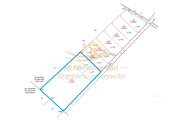 grodziski, Żabia Wola, św. Anny, Działka rolno leśna winnica Dw&oacute;rzno !