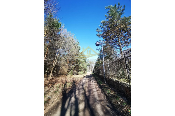 grodziski, Żabia Wola, św. Anny, Działka rolno leśna winnica Dw&oacute;rzno !