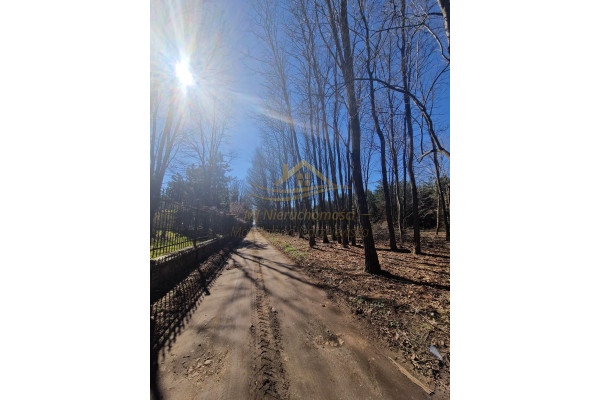 grodziski, Żabia Wola, św. Anny, Działka rolno leśna winnica Dw&oacute;rzno !