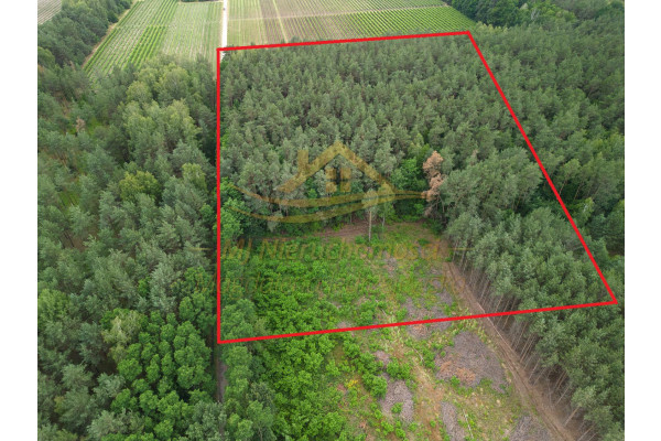 Żabia Wola, grodziski, Działka na sprzedaż