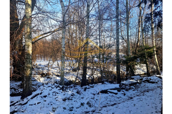 grodziski, Jaktor&oacute;w, Budy-Grzybek, Potockiego, Budy-Grzybek - dom 60m2 wraz z działką 1549 m2