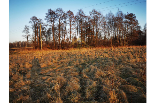 mazowieckie, grodziski, Jaktor&oacute;w, Chylice, Sprzedaż ziemi Chylice