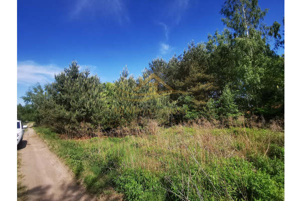 żyrardowski, Radziejowice, Adam&oacute;w-Wieś, Działki Budowlane Adam&oacute;w-Wieś z MPZP