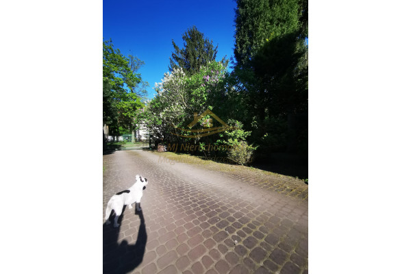 grodziski, Milan&oacute;wek, Parkowa, Sprzedaż domu wolnostojącego w Milan&oacute;wku