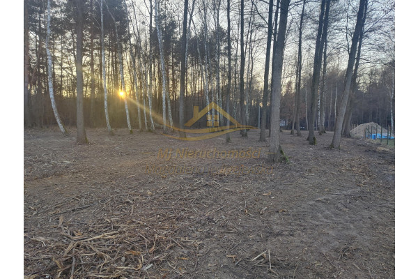mazowieckie, żyrardowski, Radziejowice, Adam&oacute;w-Wieś, Adam&oacute;w Wieś- działka budowlana w dobrej cenie