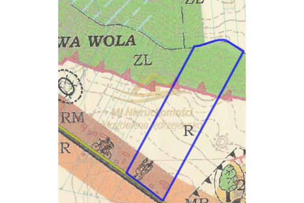 skierniewicki, Kowiesy, Turowa Wola, Gospodarstwo rolne 10h na sprzedaż z sadem