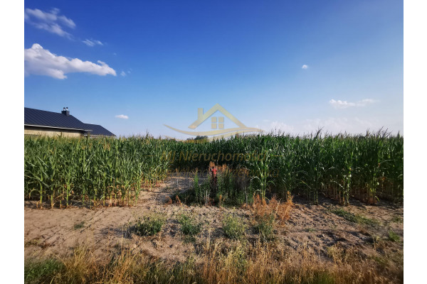 grodziski, Baran&oacute;w, Karolina, DZIAŁKA PRZY ASFALCIE 3681m2
